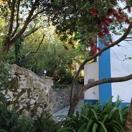 Casas Altas Obidos - Al Casa de Férias *