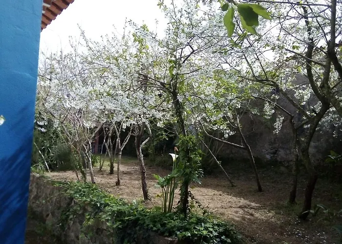 Casas Altas Obidos - Al *